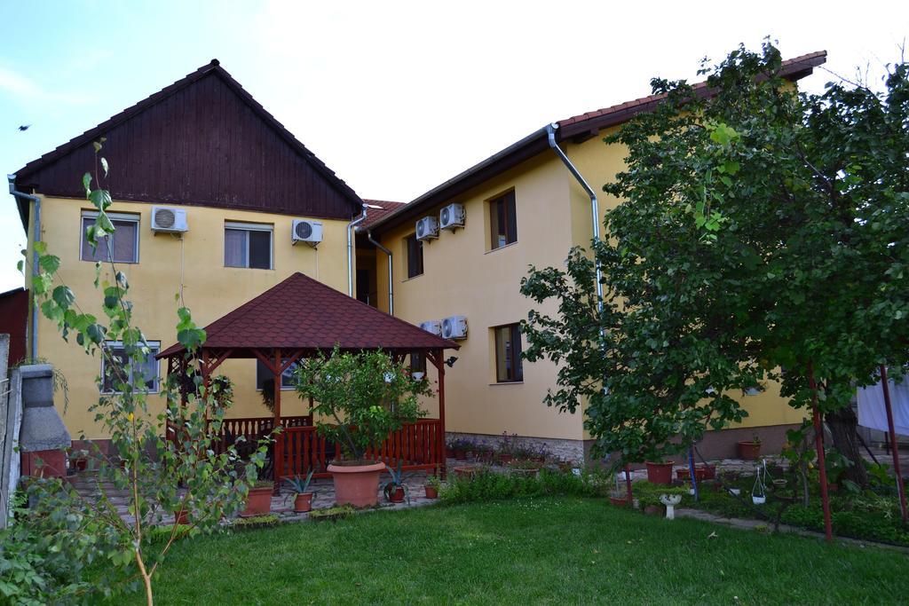 Pensiunea Alexander 3* Arad